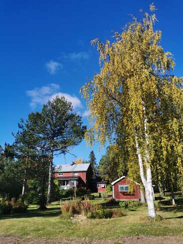 La imagen representa una serena escena rural con una casa y un cobertizo rojos, rodeados de árboles y un cielo azul vibrante con algunas nubes difusas.